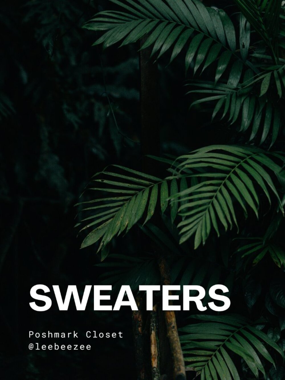SHOP SWEATERS!
